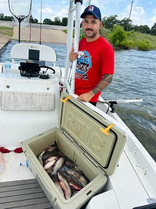 Lake Somerville Crappie and hybrids