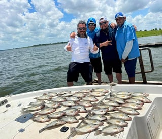 Lake Somerville Crappie and hybrids