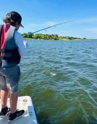Lake Somerville Crappie and hybrids