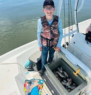 Lake Somerville Crappie and hybrids