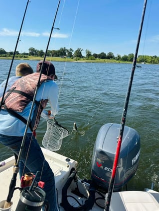 Lake Somerville Crappie and hybrids