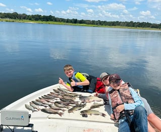 Lake Somerville Crappie and hybrids