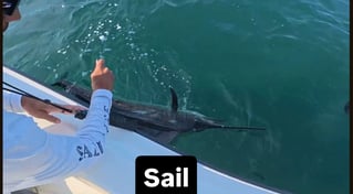 REEL SCREAMING OFFSHORE fISHING