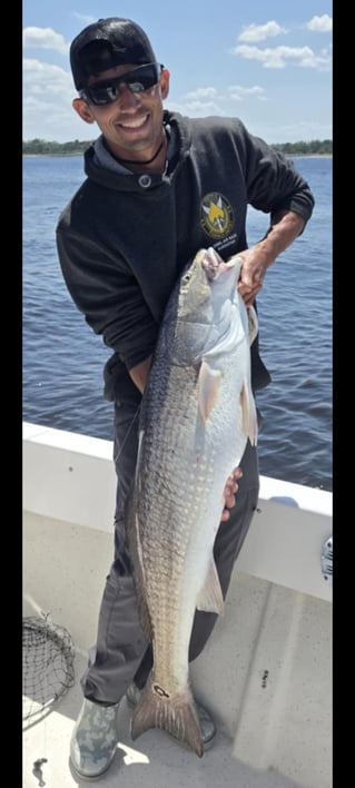 REEL SCREAMING OFFSHORE fISHING