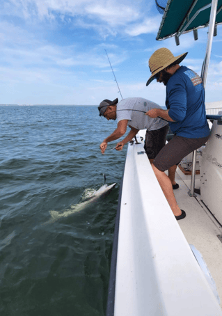REEL SCREAMING OFFSHORE fISHING