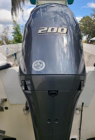 REEL SCREAMING OFFSHORE fISHING