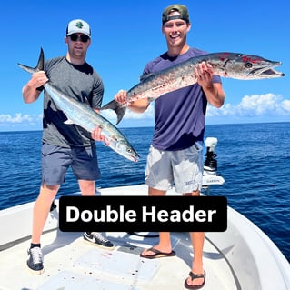 REEL SCREAMING OFFSHORE fISHING