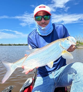 Everglades Light Tackle/Fly Fishing