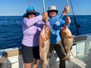  4-8 Hour Offshore