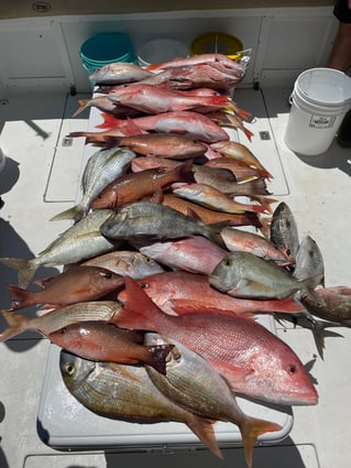  4-8 Hour Offshore