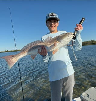 St Pete Fishing Trip