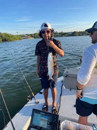 St Pete Fishing Trip