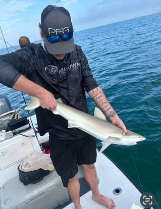 St Pete Fishing Trip