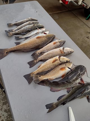(4hr) Inshore Seatrout/Redfish