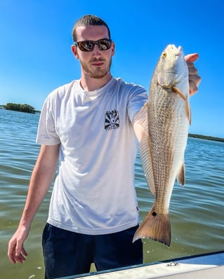 3-8 Hour Inshore Trip