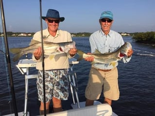 Snook bite