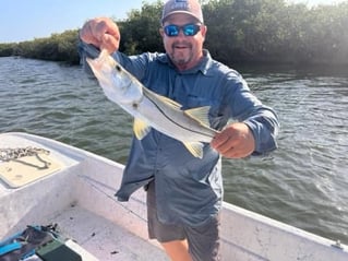 Snook bite