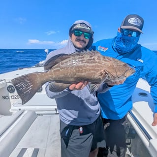 8-12 Hour Offshore Trip