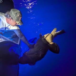 8-12 Hour Offshore Trip