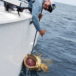 8-12 Hour Offshore Trip