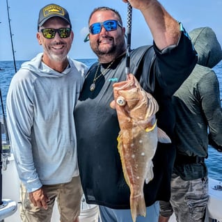 8-12 Hour Offshore Trip