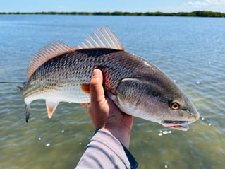 4-8 Hour Inshore Trip