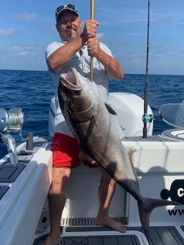 Port A Offshore Fishing Trip - 45' Cabo