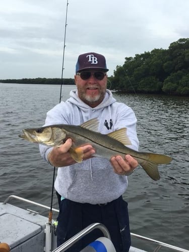 Fish in Tampa (Weekdays) - 23' Ranger