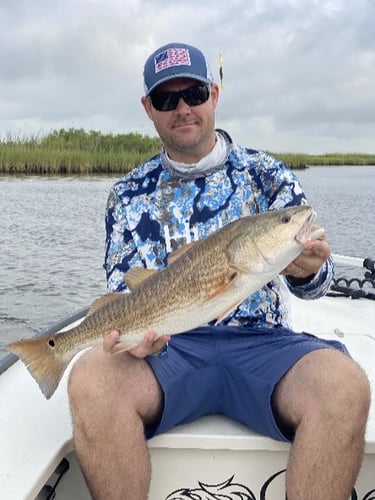 Full Day Redfish on the fly