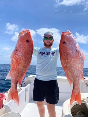 Offshore Snapper Trip - 30' Stamas