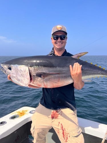 Cape Cod Tuna Blitz