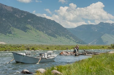 Madison River Full-Day or Half-day Float