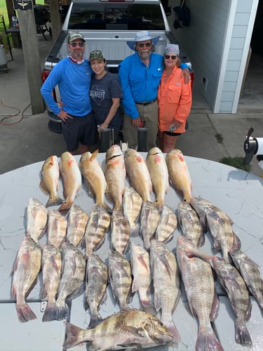 Full Day Bay Fishing trip - 22’ TranSport