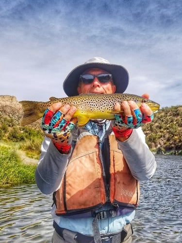 Hill Country Bass or Trout on the Fly