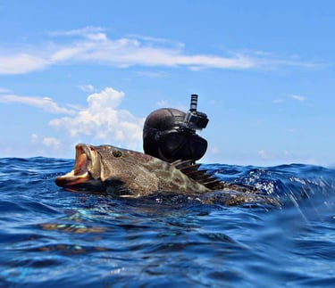Blue Water Offshore Spearfishing - 34' Crusader