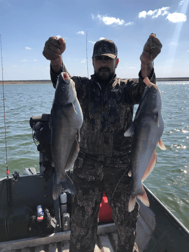 Falcon Lake Bass, Cats, and Gar Fishing - 22' Pontoon