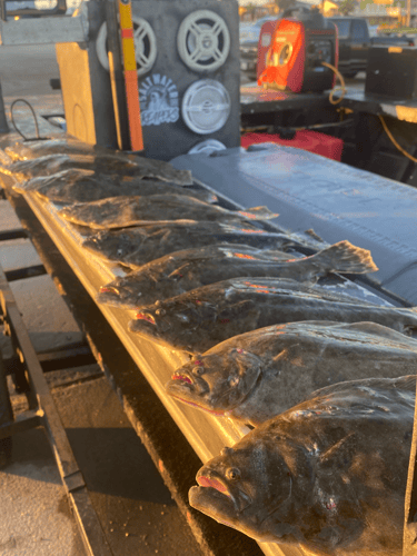 Galveston Flounder Gigging