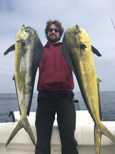 Dana Point Extended Offshore Trip