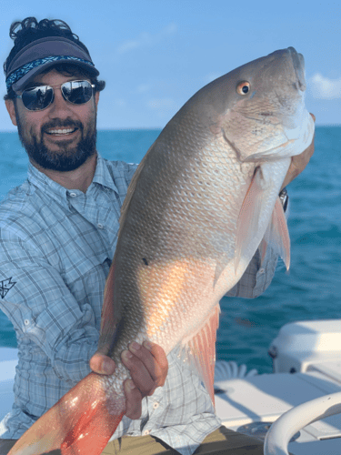FL Barrier Reef Snapper and More