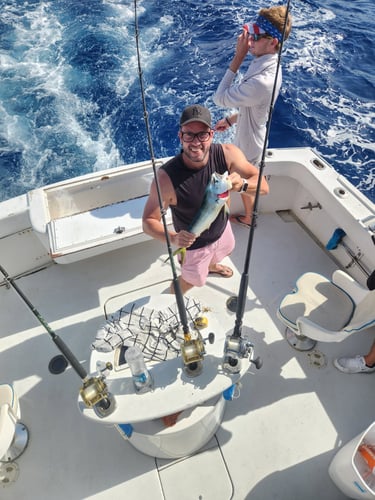 Hillsboro Inlet Park Fishing Reports (July 2026)