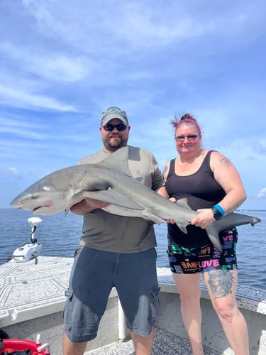 Shark Fishing Charter In Tampa