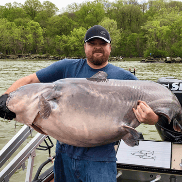 Tennessee River Catfishing In Decatur