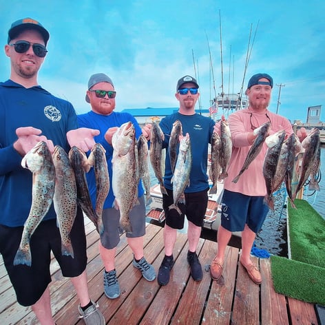 Half day(4hr) inshore/nearshore