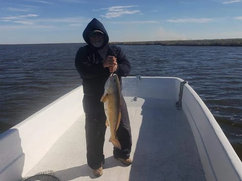 7 Hour Charter Trip Inshore 
