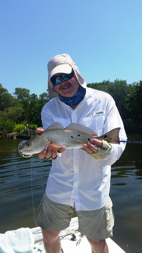 Fly Fishing Boca Grande