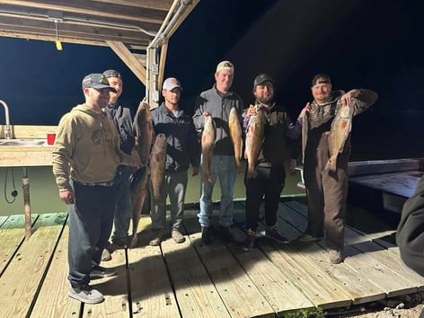 4 Hour Bowfishing Trip at Night