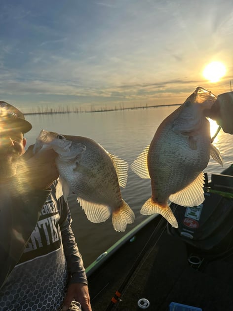 Crappie Fishing Trip