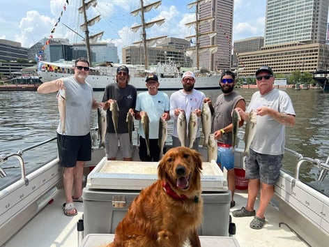 1/2 Day Trip – Rockfish Season