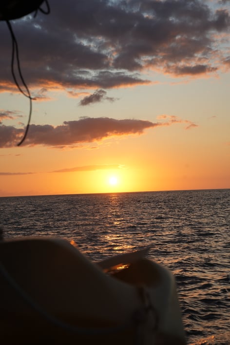 Public Sunset Catamran