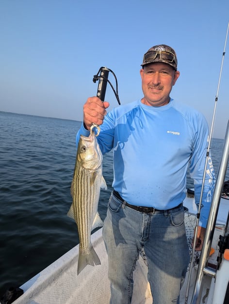 5 Hour Striped Bass In-Shore Trip